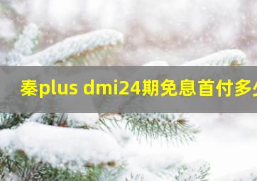 秦plus dmi24期免息首付多少